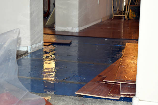 Professional Water Damage Restoration technician working in Bellaire, OH
